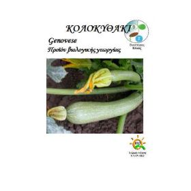 Σπόρος Κολοκυθάκι genovese Bio (ΒΙΟΚΗΠΟΣ)