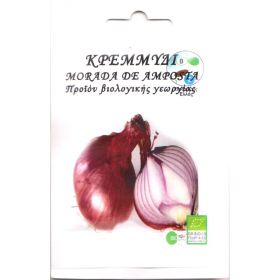 Σπόρος Κρεμμύδι Bio (ΒΙΟΚΗΠΟΣ)